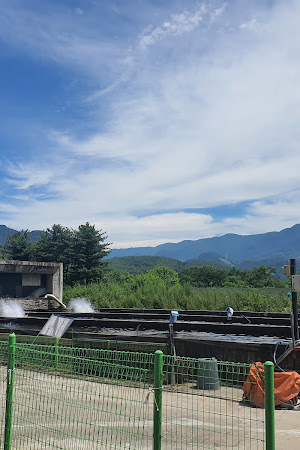 안미송어장횟집