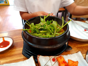 오늘은 오리 먹는날