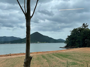 자연임실치즈피자카페 금호도점