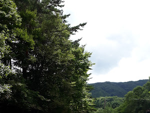 지리산식당