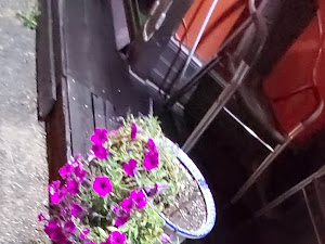 홈실가마솥추어탕