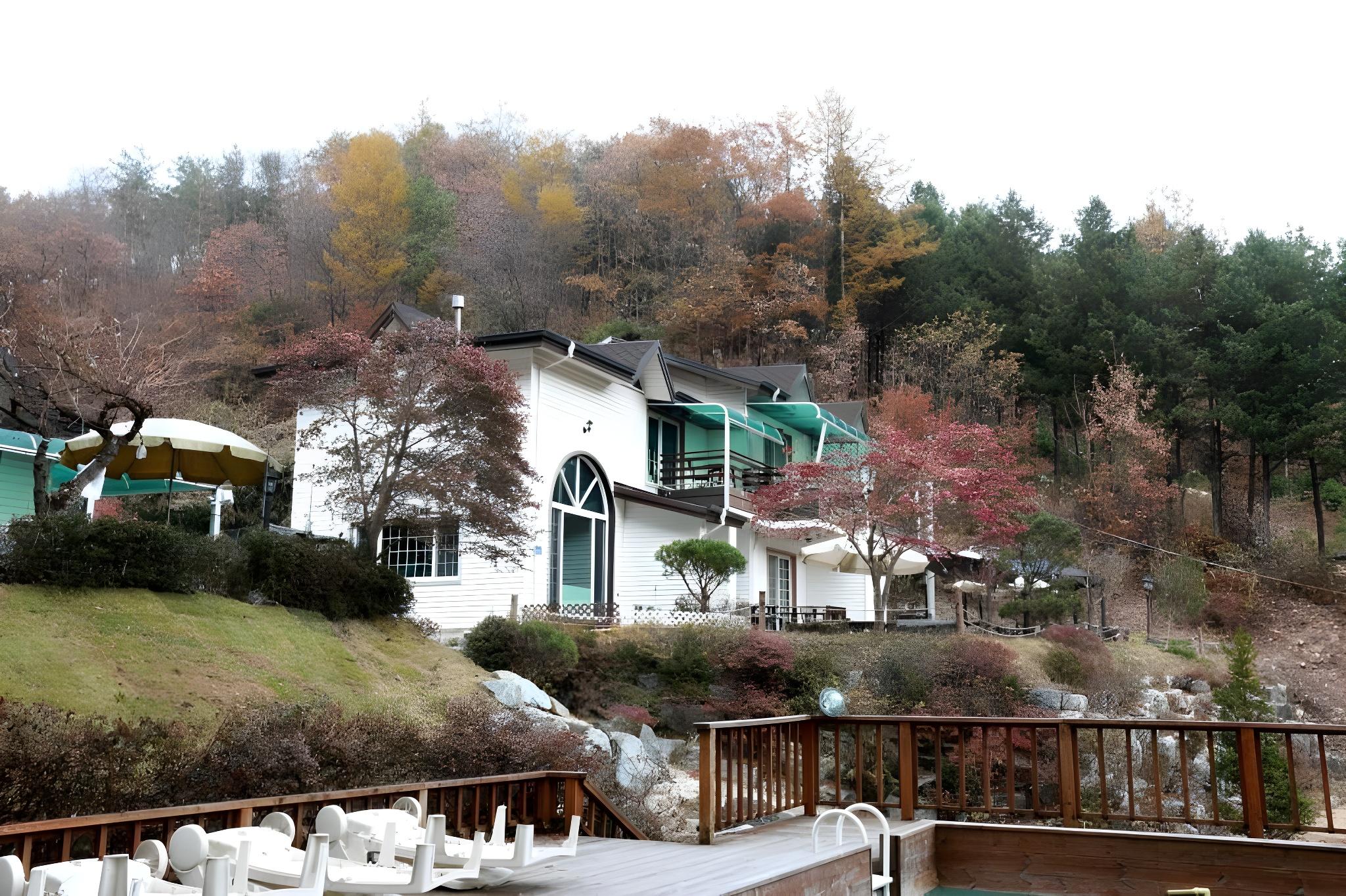 솔향기 펜션 (Pinearoma Pension)
