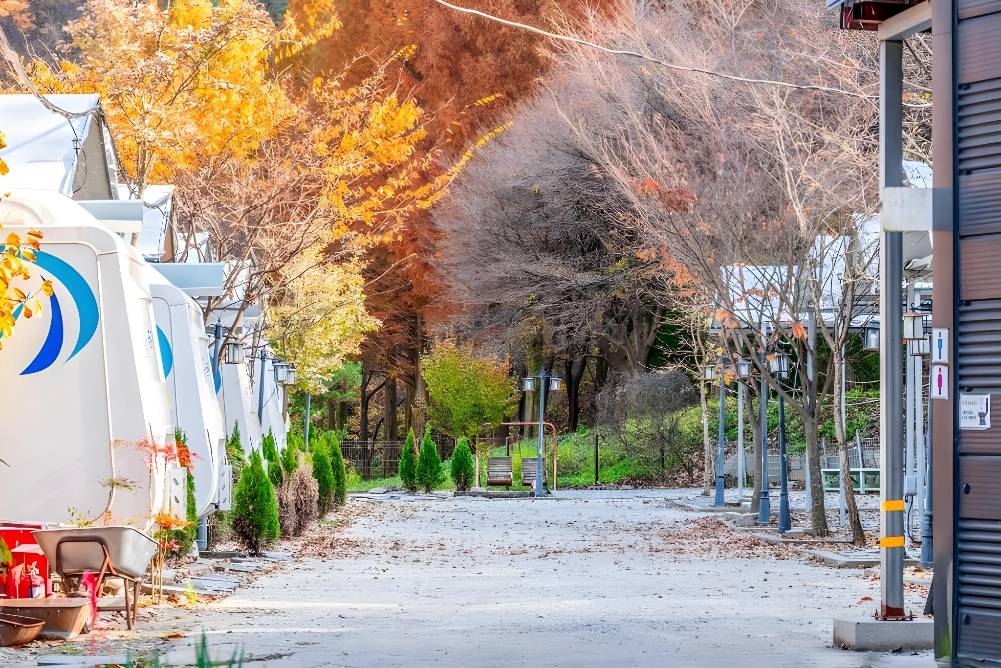 대전 꿈꾸는 농부 캠핑장 (Daejeon Dreaming Farmer Camping Site)