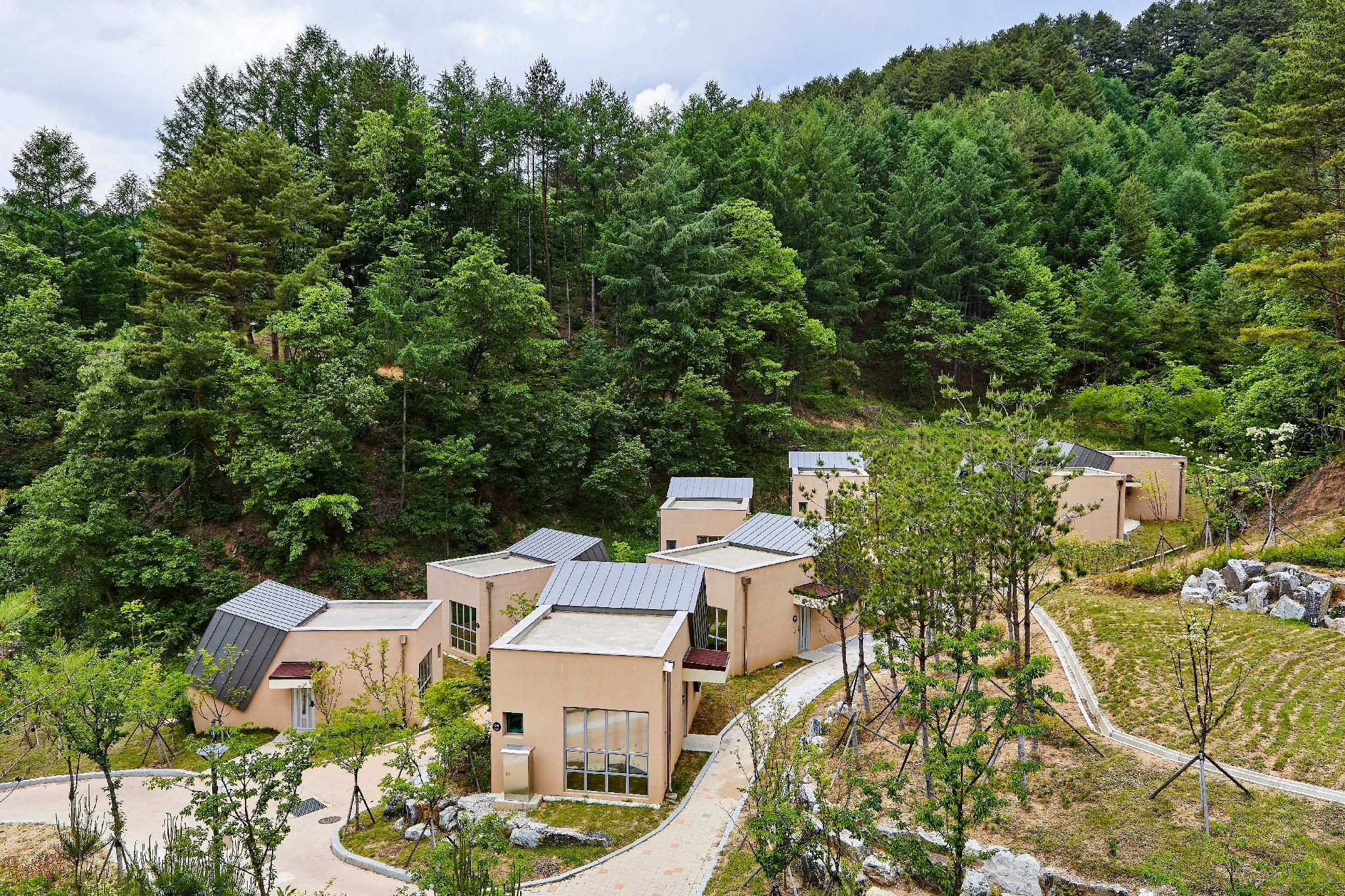 금강송 에코리움 (Geumgangsong ecorium)