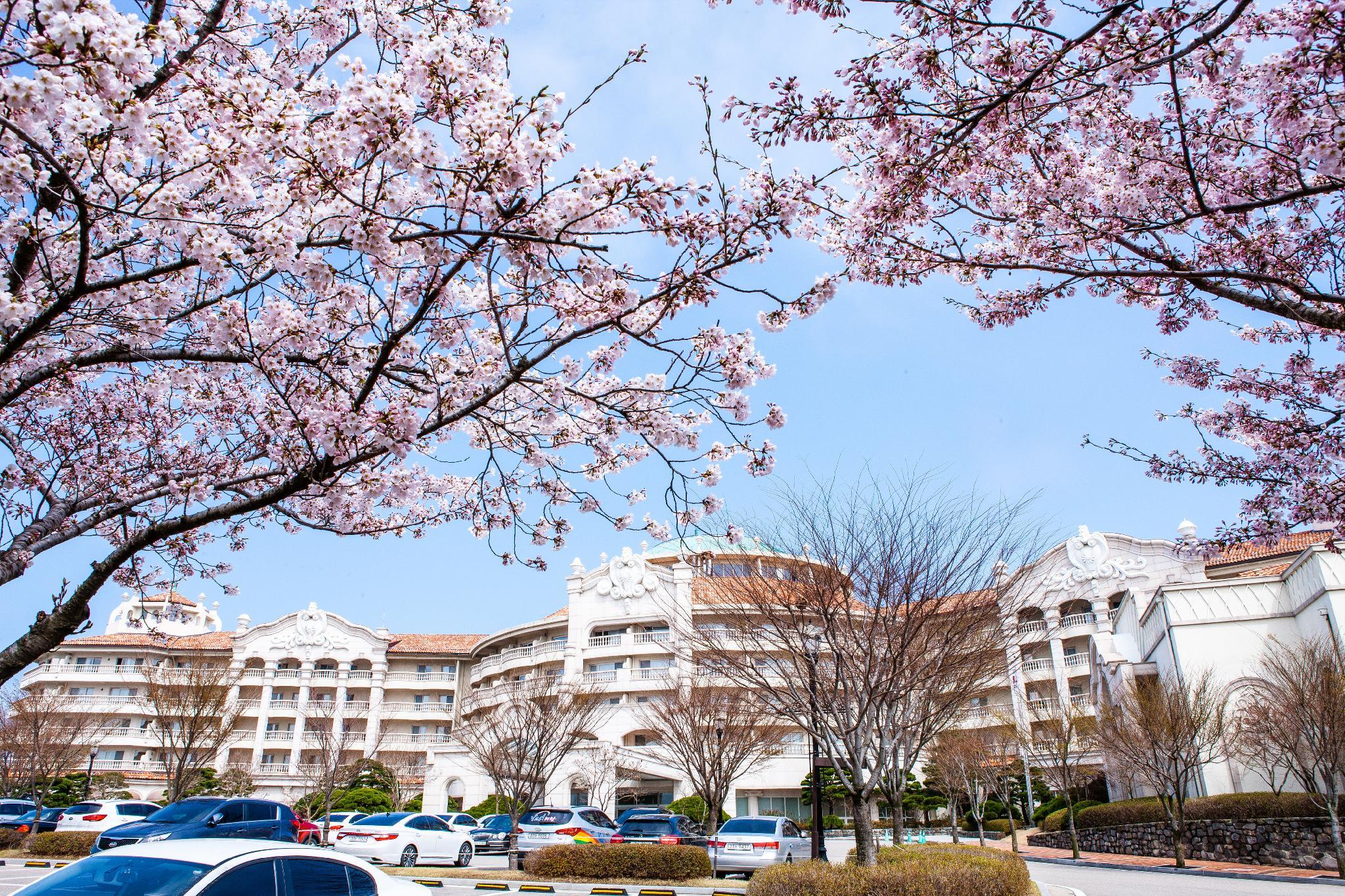 쏠비치 양양 (SOL BEACH YANGYANG (SOL BEACH HOTEL & RESORT YANGYANG))