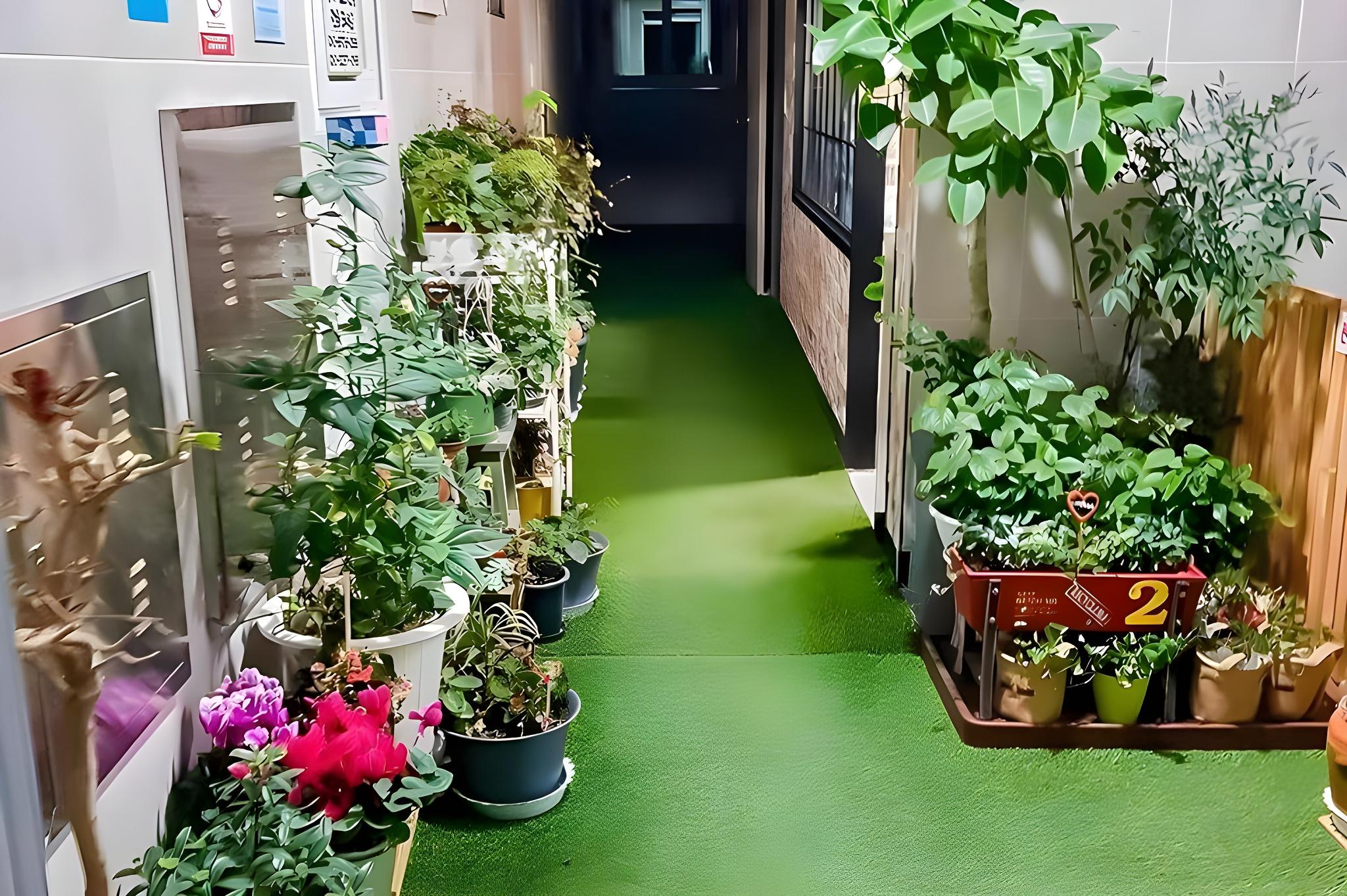 오대산 힐링 타운 별빛동 (Odaesan Healing Town Starlight)