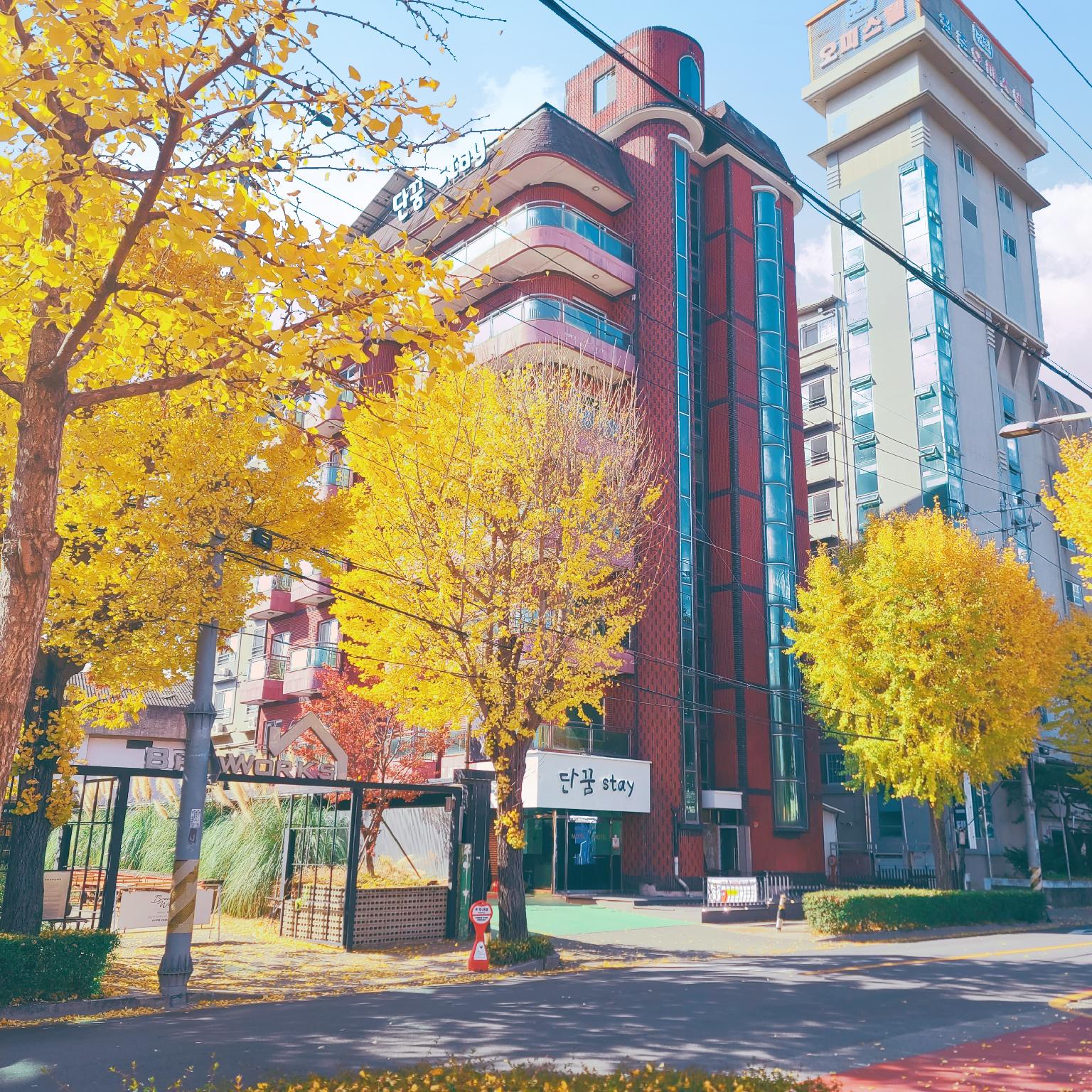 단꿈 스테이 (Suncheon Dan Ggum Stay)