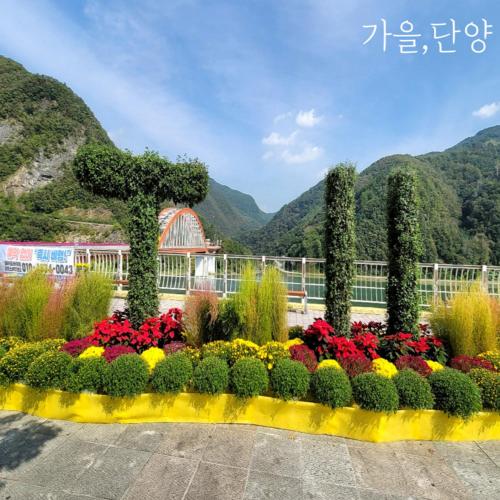 스테이 230 (Stay 230)