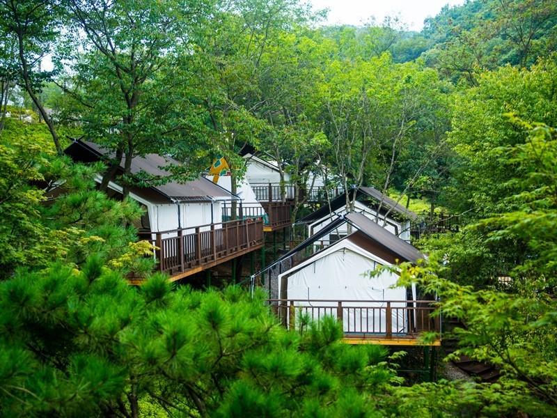 파주 동화힐링캠프 (Paju Donghwa Healing Camp)