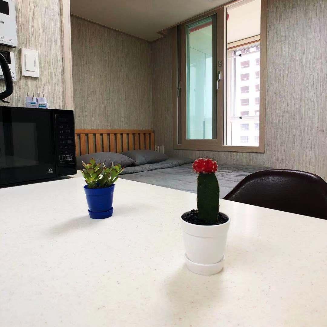 고성군의 아파트먼트 (25m², 침실 1개, 프라이빗 욕실 1개) (Shilla Duty  Grand Lisboa 1Jeju Grand Opening Room)