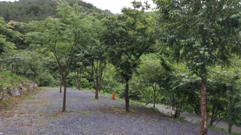 영월 두산캠핑장 (Yeongwol Doosan Camping Site)