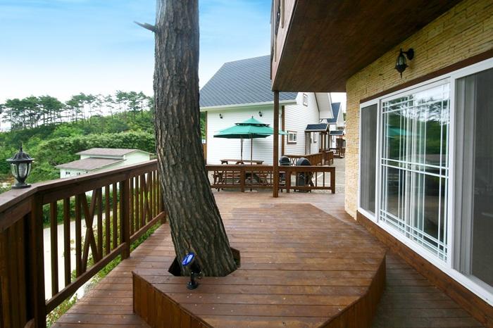 Sea and Pine Pension