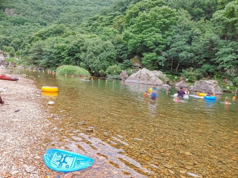 보은 정이품송캠핑장펜션 (Boeun Jeongipumsong Camping Site Pension)