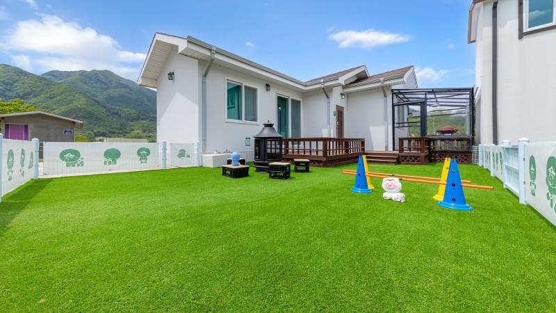 단양 댕댕이애견가족펜션블랙 (Danyang Dog Family Pension Black)