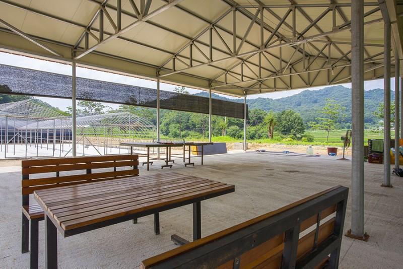 상주 소나무와황토집펜션 (Sangju Pine and Ocher House Pension)