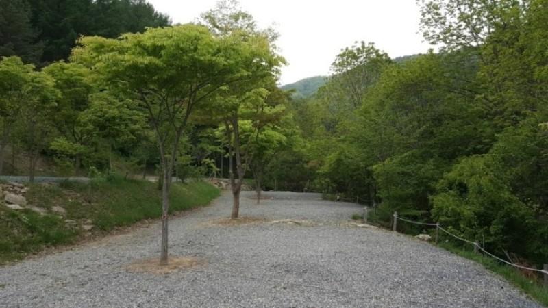 영월 두산캠핑장 (Yeongwol Doosan Camping Site)