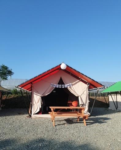 Deulsori Kids Glamping