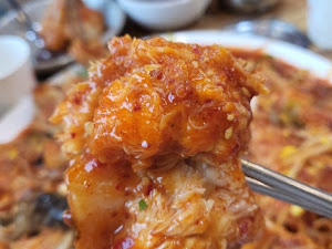곰선생 동태씨
