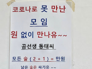 곰선생 동태씨