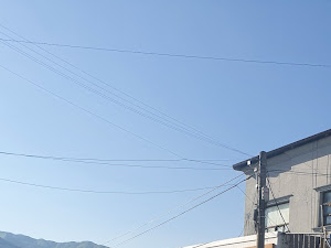 유미네집