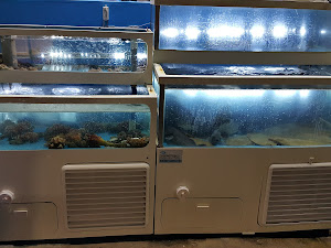 회수산시장