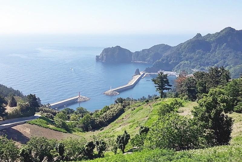 울릉도 울릉도와독도이야기펜션 (Ulleungdo Ulleungdowa Dokdo Story Pension)
