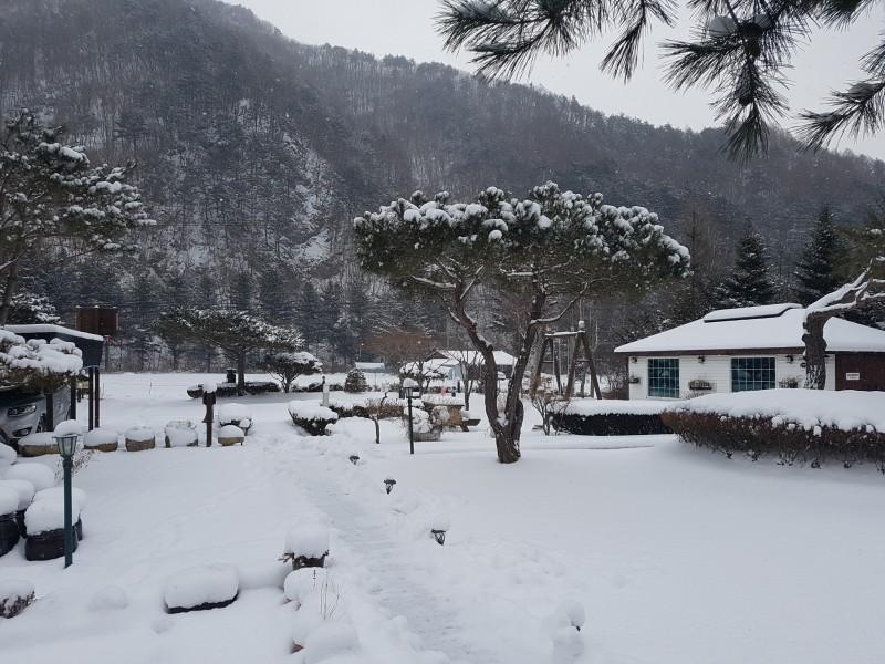 평창 강애산애펜션(휘닉스파크 차량 10분) (Pyeongchang Gangaesanae Pension)