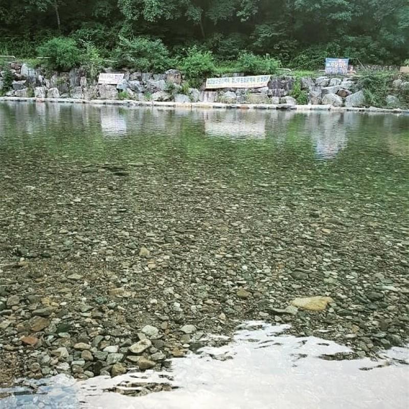 평창 강애산애펜션(휘닉스파크 차량 10분) (Pyeongchang Gangaesanae Pension)