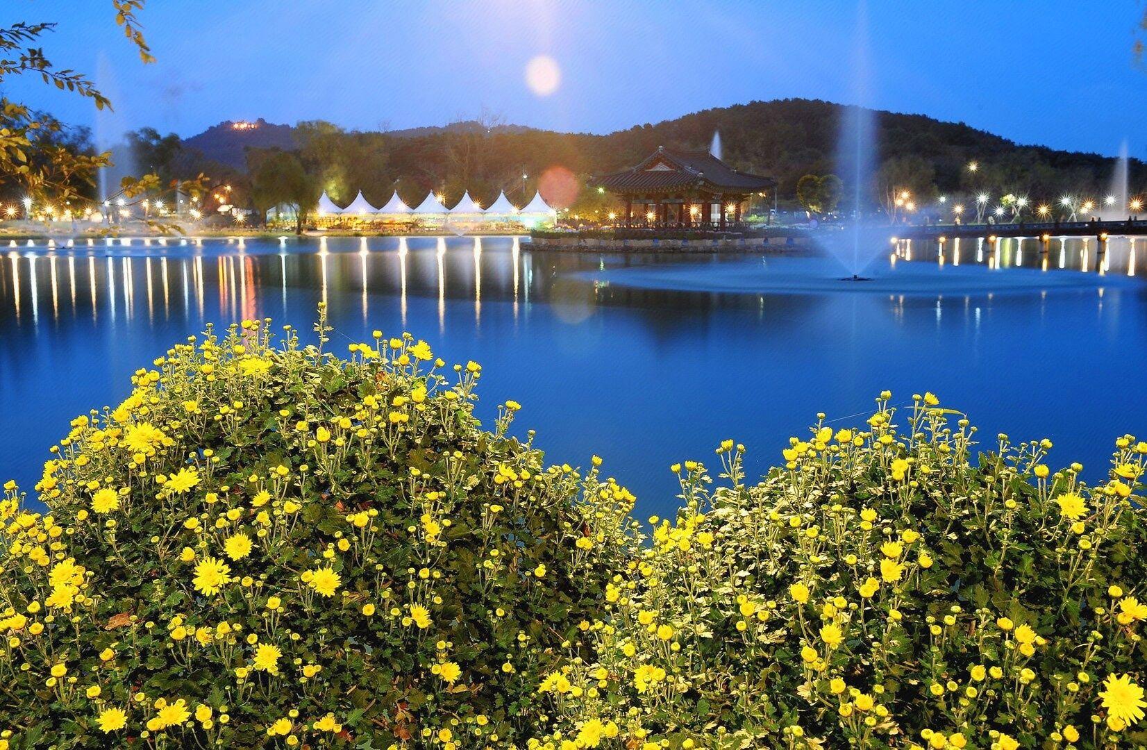 롯데 리조트 부여 (Lotte Resort Buyeo)