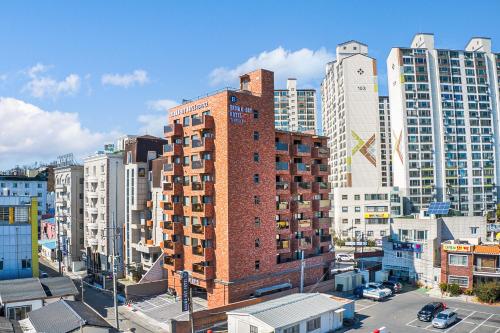 포항 브라운도트 테라스 포항 여객터미널점 (Pohang Brown Dot Terrace Pohang Terminal branch)