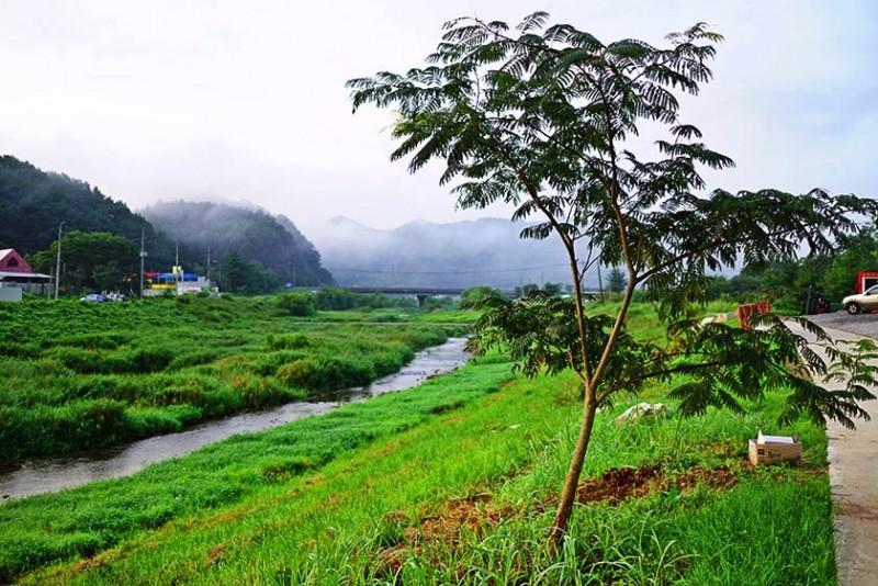 논산 별빛마루펜션 (Nonsan Byeolbinmaru Pension)