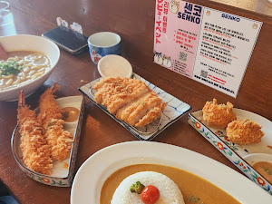 센코카레